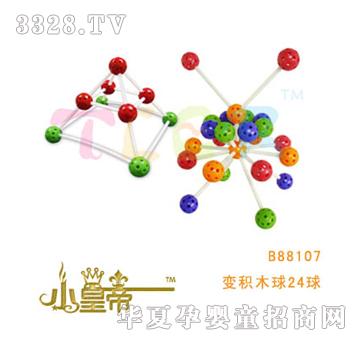 ��A�A����׃�eľ��24��B88107