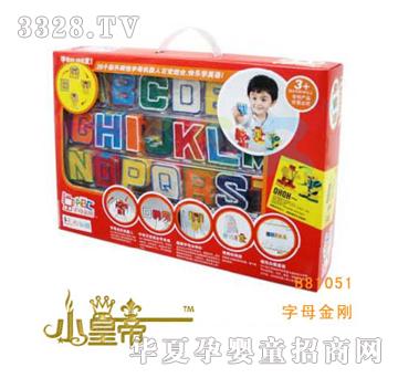 ��A�A����ĸ����B81051