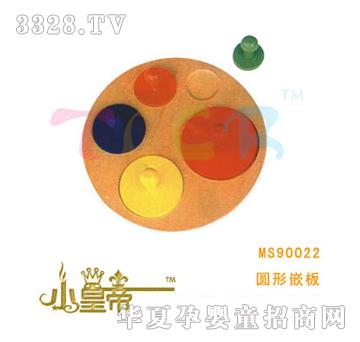 ��A�A��A��Ƕ��MS90022