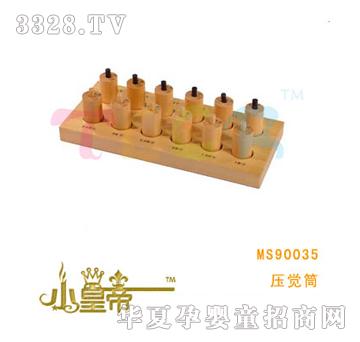 ��A�A���XͲMS90035