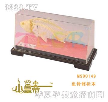 ��A�A���~�����˱�MS90149