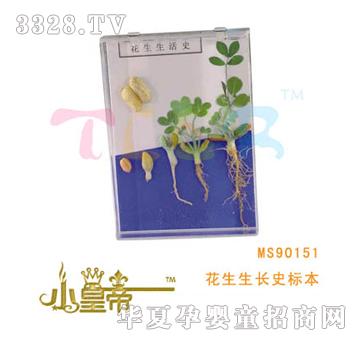 ��A�A���������Lʷ�˱�MS90151