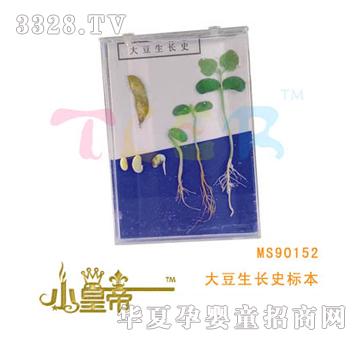 ��A�A�������Lʷ�˱�MS90152