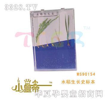 ��A�A��ˮ�����Lʷ�˱�MS90154
