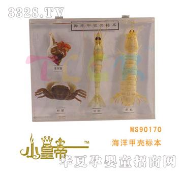 ��A�A������ך��˱�MS90170
