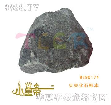 ��A�A��ؐ����ʯ�˱�MS90174