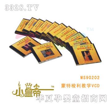 ��A�A����������VCD��14Ƭ28����MS90202