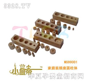 ��A�A����ͥ�b�����A���wMS99001