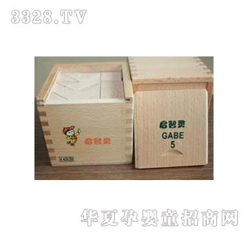 �����`�Ź��������w