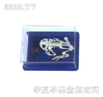 �����`���ܹ����˱�