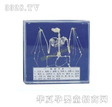 �����`��������˱�