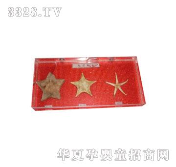 �����`���ǹ����˱�