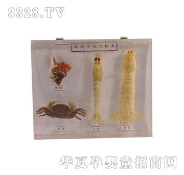 �����`����ך�˱��M��