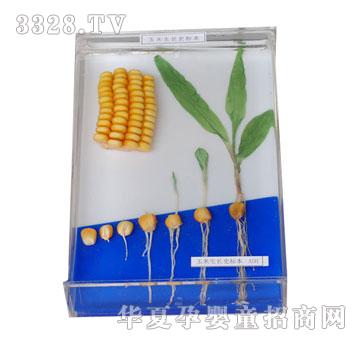 �����`�������Lʷ�˱�