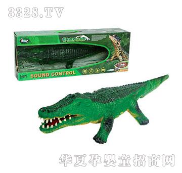 �W˹�����{�~2485