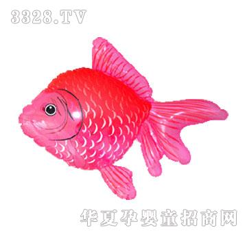 �|�_�h������~