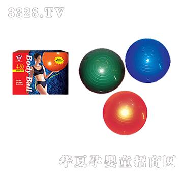 �Ϙ�75cm�w����YL0072