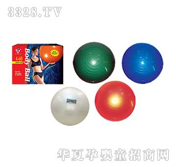 �Ϙ�65cm�w����YL0071