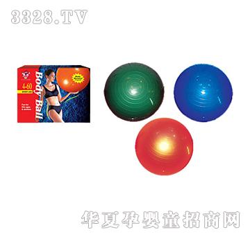 �Ϙ�55cm�w����YL0070