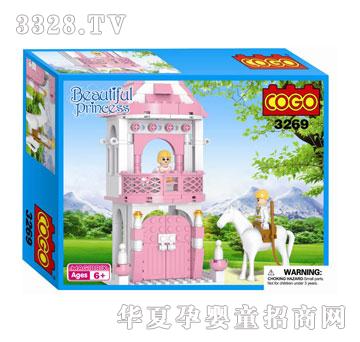 С����CG3269����ϵ��160PCS