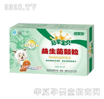 ���������w��