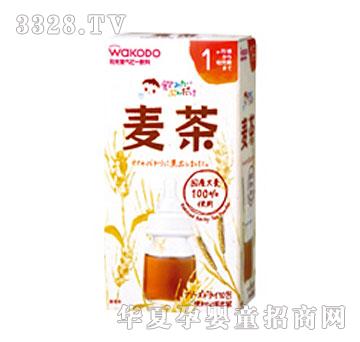 �f�غ͹������ܴ����裨���w��ϣ�FA1