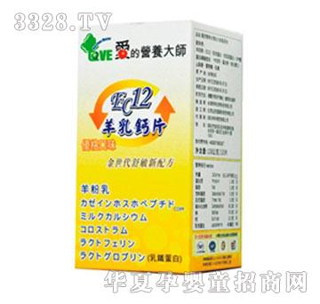 �۵ĠI�B(y��ng)��EC12�����}Ƭ-��(y��u)�����̣�