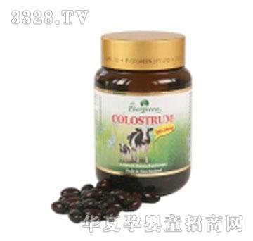 Evergreenţ�����z��