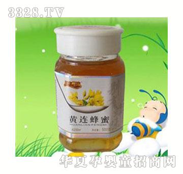 ��ʥ�e�з�ζ�S�B����