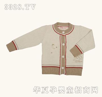 С�v��С�v���_����ë��