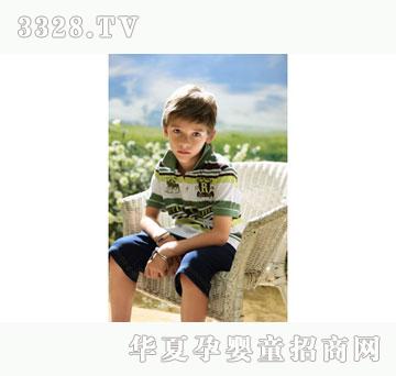 ���뷿2012Roberta-di-Camerino���ı���