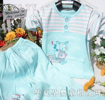 ����С������ؐ��8146�������L��ȫ�����b�����׃����b
