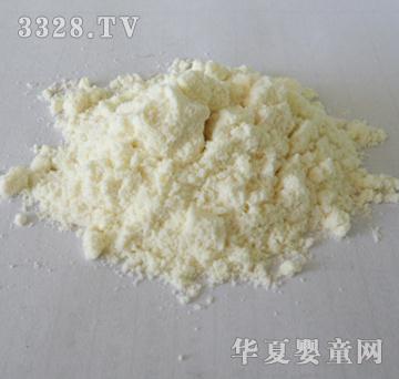 �����{�����