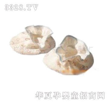 �ۋ�ʊA�z�_��