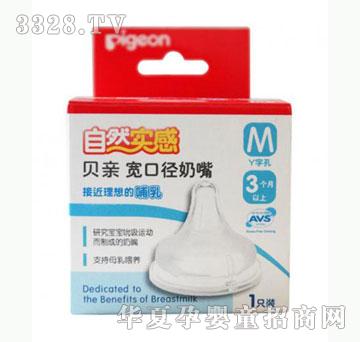 �Ų���ؐ�H��Ȼ���Ќ��ڏ�����