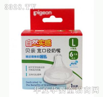 �Ų���ؐ�H��Ȼ���Ќ��ڏ�����L