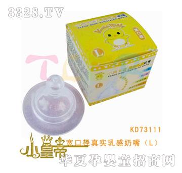 ��(m��ng)�A�A��(m��ng)���ڏ��挍(sh��)������죨L��KD73111