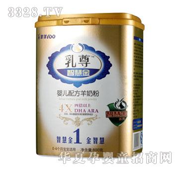 ���������ǻ۽�1��