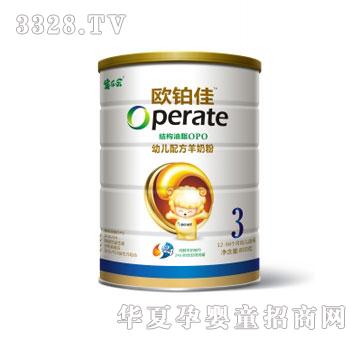 �򘷘��W�K���׃��䷽���̷�800g3��