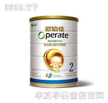 �򘷘��W�K���^��냺�䷽���̷�800g2��