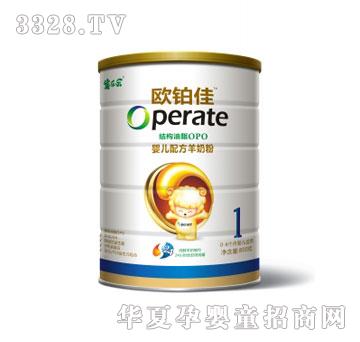 �򘷘��W�K�ы냺�䷽���̷�800g1��