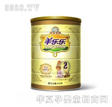 �򘷘��p���^��냺�䷽���̷�800g2��