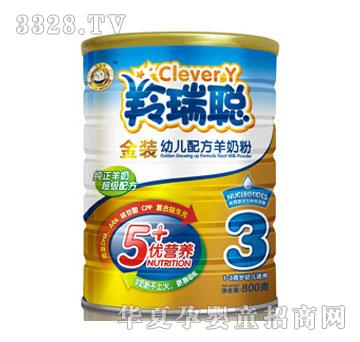 �������b800���b3�����̷�