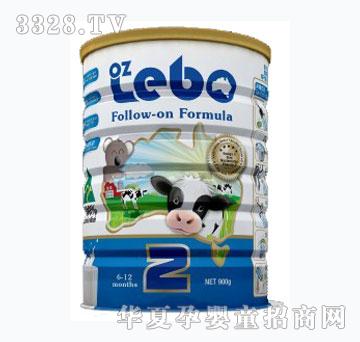 ��Ȥ����follow-on�䷽�̷�