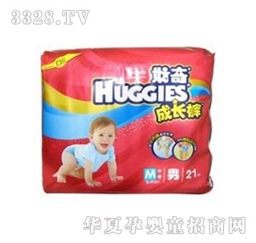 ������Lѝ��M21