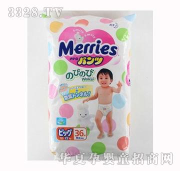 ��������ѝXL36