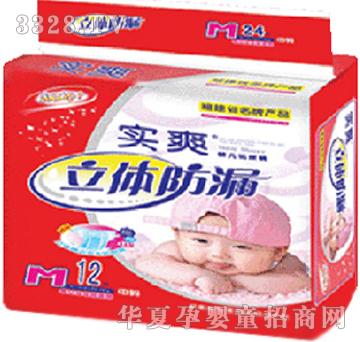 ��ˬ���w��©�냺����ѝС���b