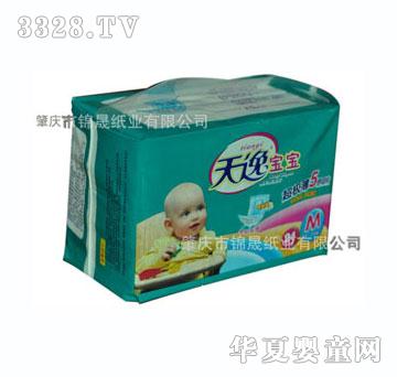 ���݌����������냺����ѝM24