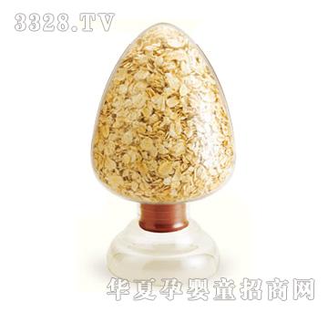 ��������Ƭ