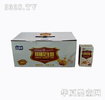 С�`ţ���һ�����